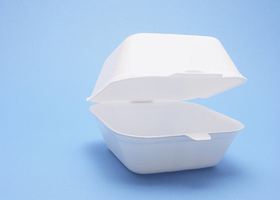 polystyrene foam recycling