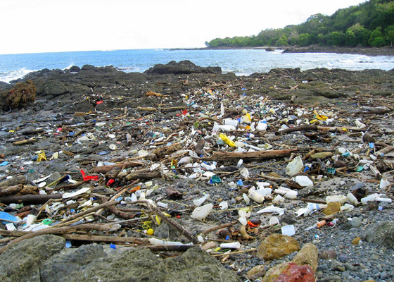 Marine plastic pollution